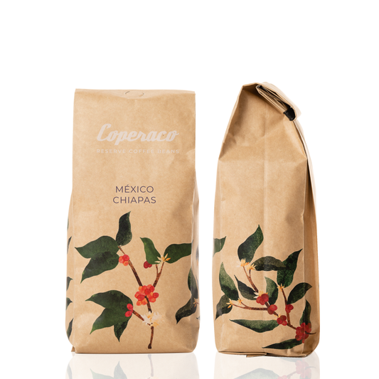 México Chiapas